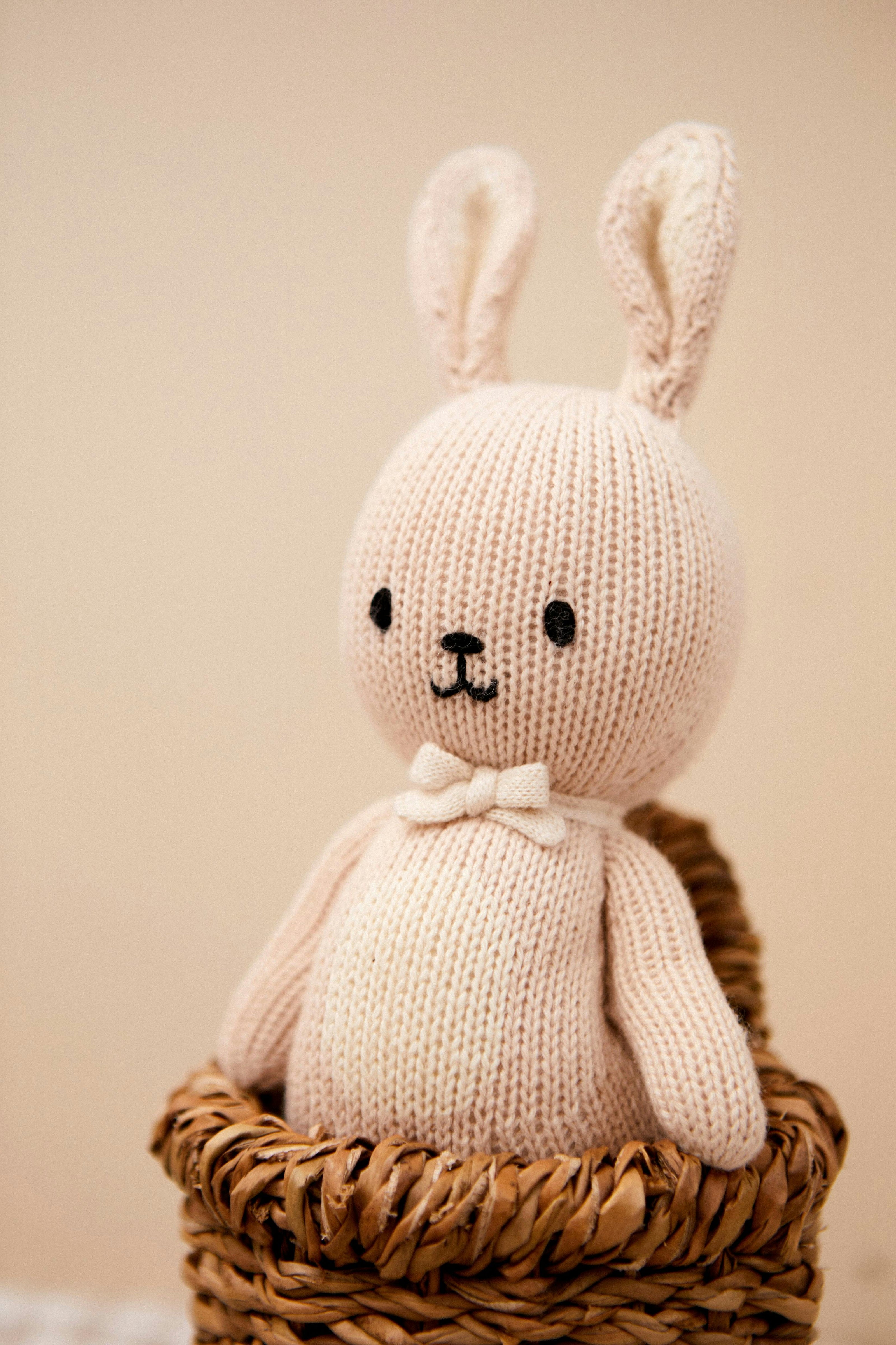 BABY BUNNY BOY 8