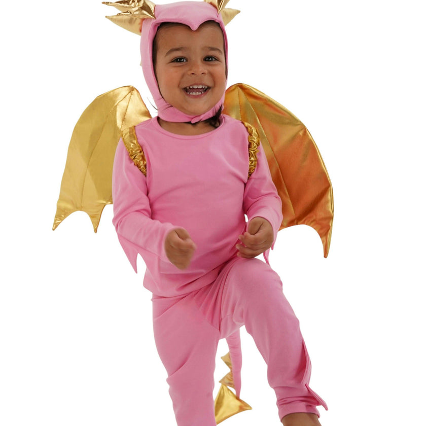 Pink Sky Dragon