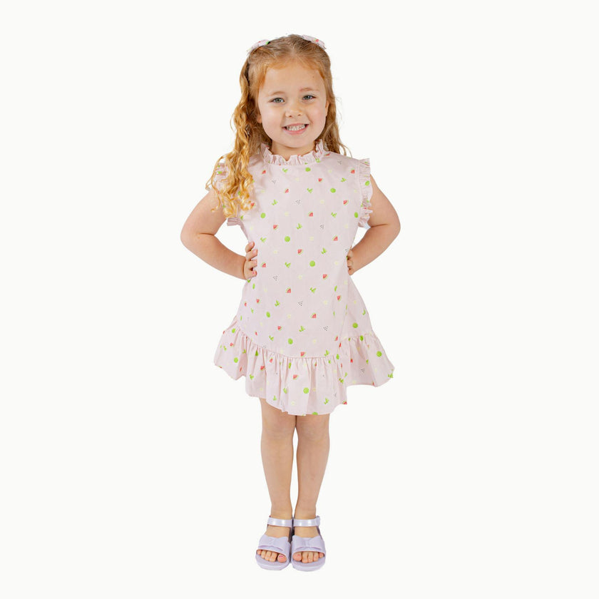 Drop Waist Dress in Melon Patch