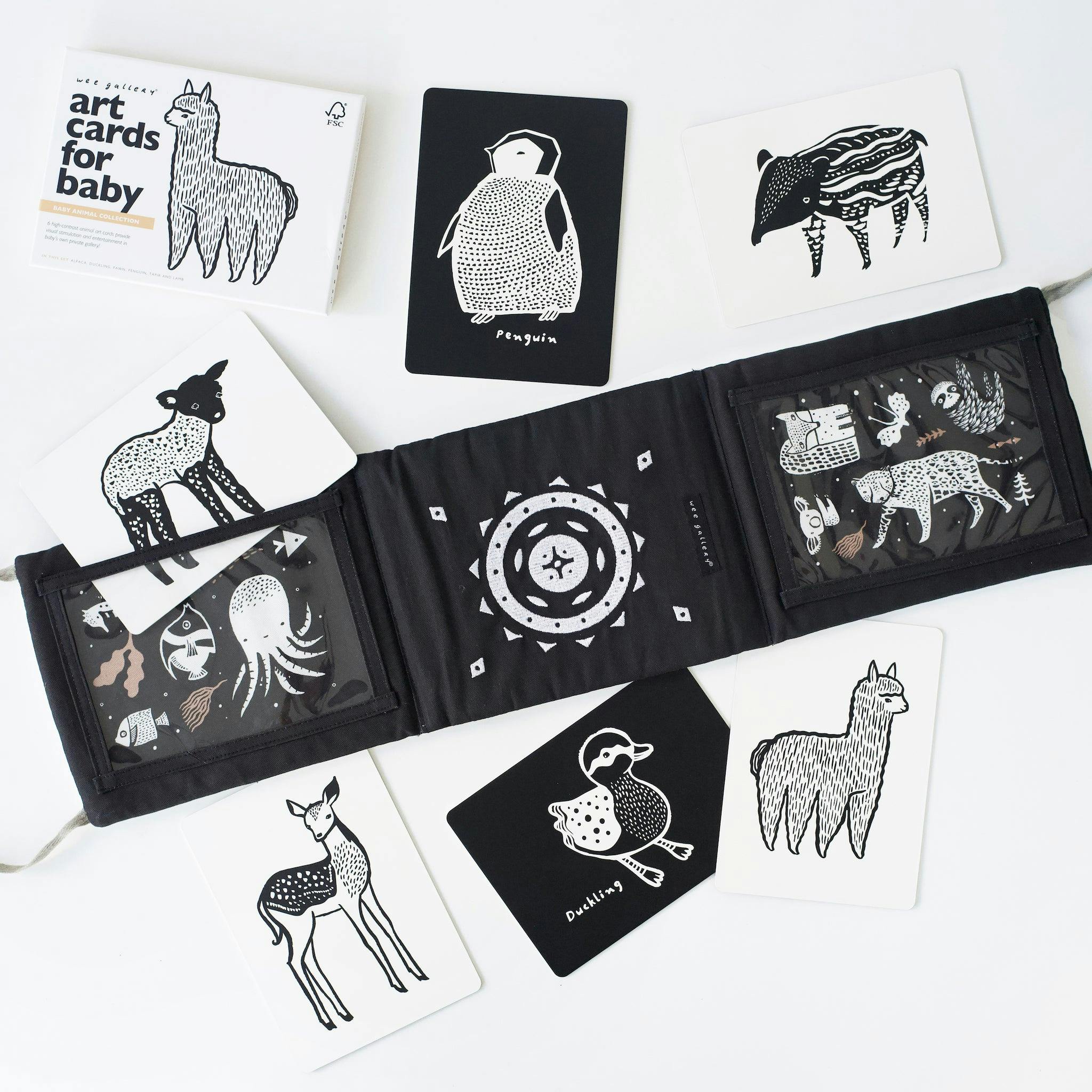 Developmental Bundle for Baby - Acorn