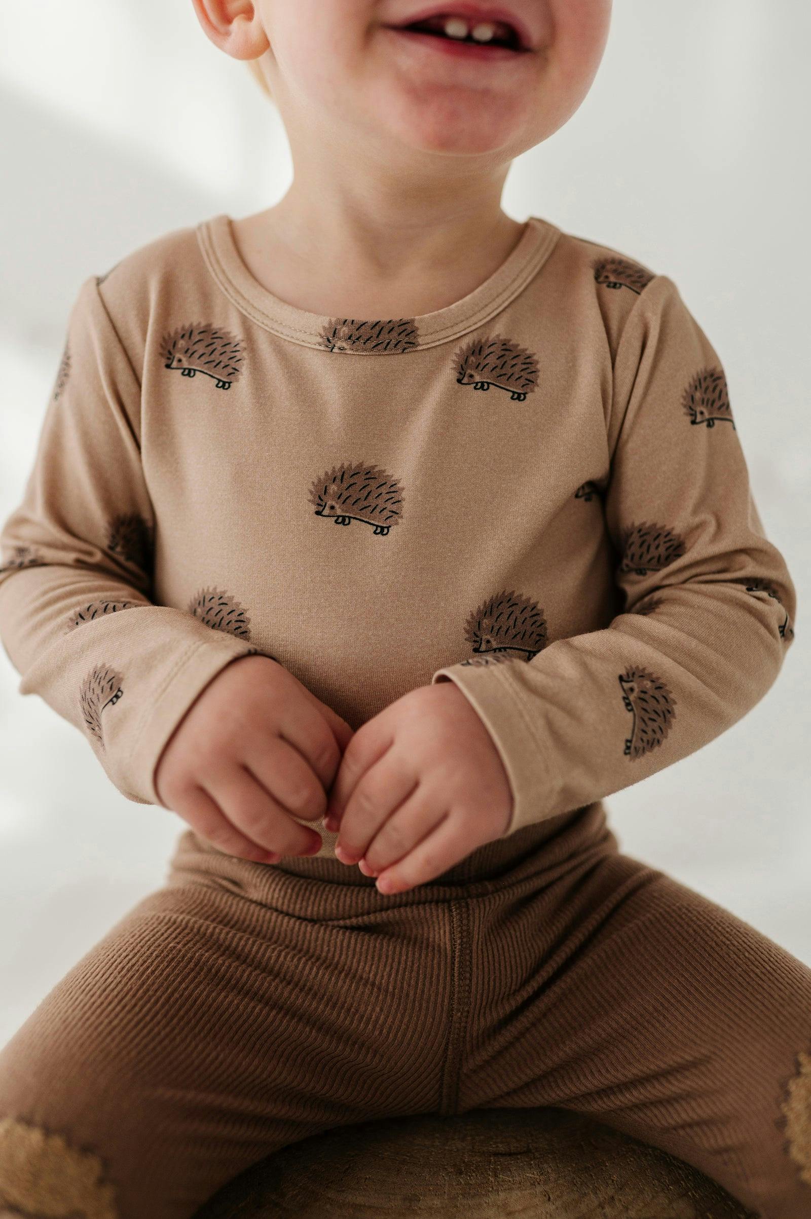 Baby Boy Long Sleeve Bodysuit in Hedgehog