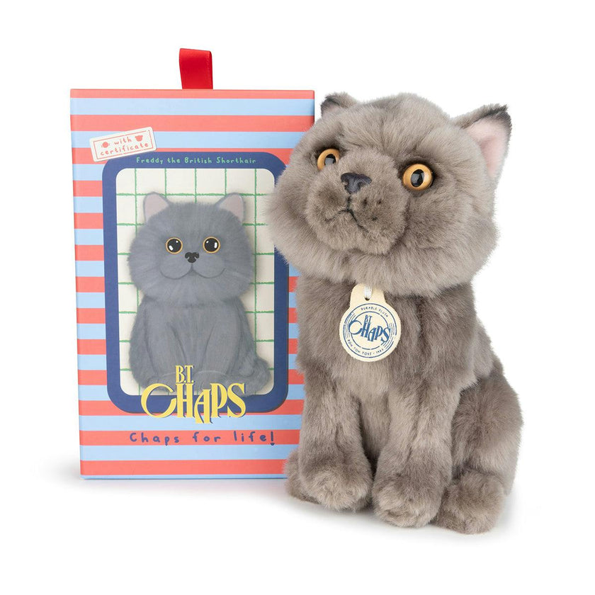 BT CHAPS FREDDY THE BRITISH SHORTHAIR FLOPPY in Giftbox 6.5"