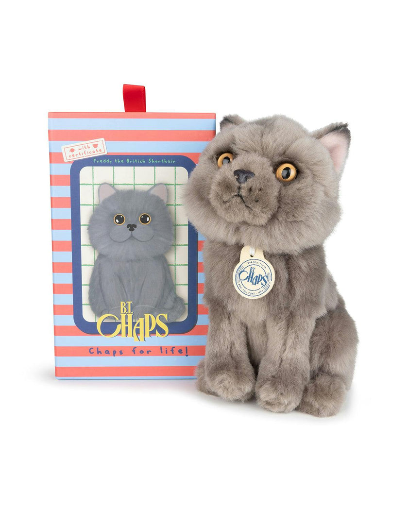 BT CHAPS FREDDY THE BRITISH SHORTHAIR FLOPPY in Giftbox 6.5"