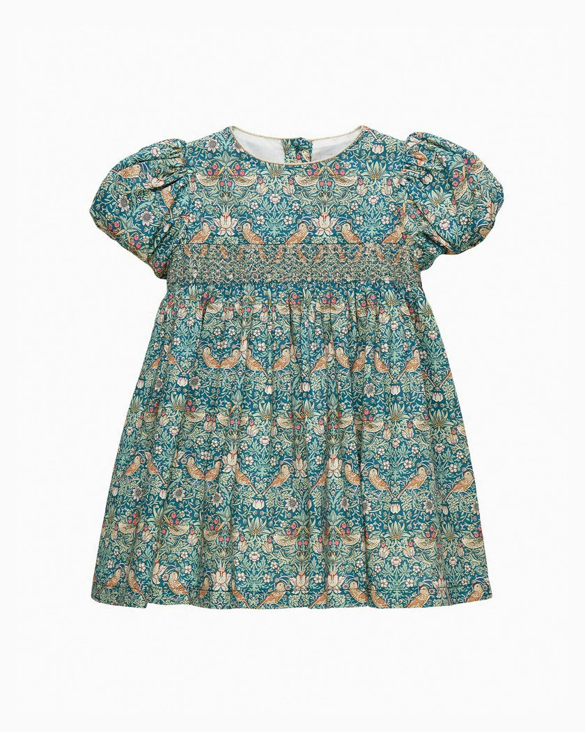 Baby Party Dress in Strawberry Thief
