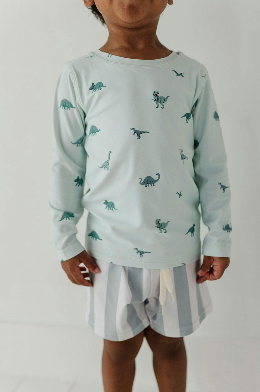 Boys Swim Shorts in Dinosaur
