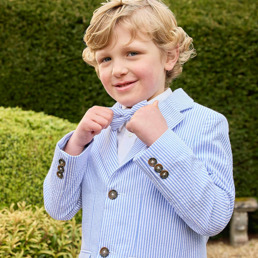 Sebastian Blazer in Pale Blue Stripe