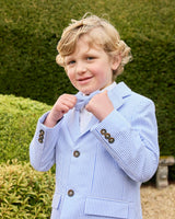 Sebastian Blazer in Pale Blue Stripe