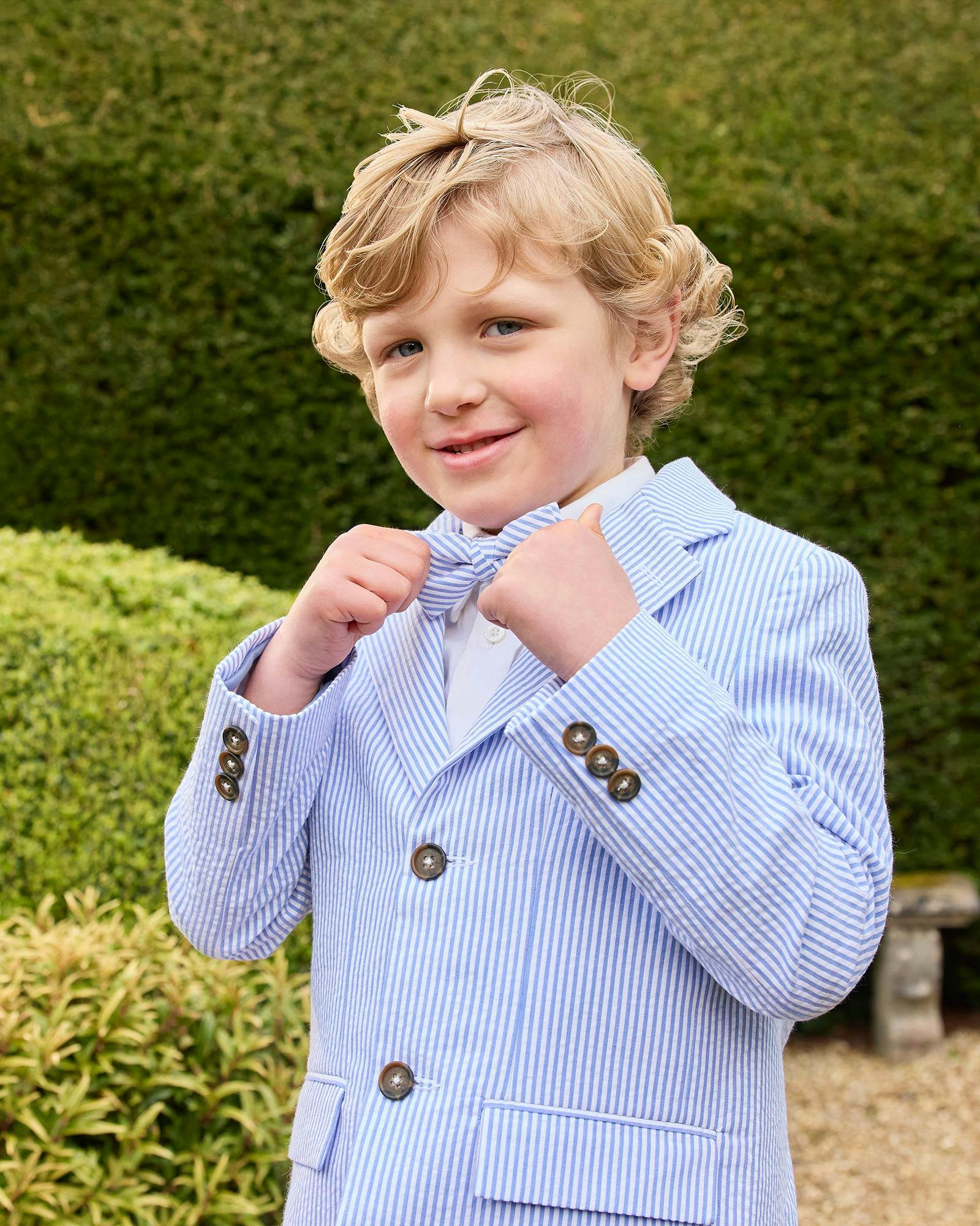 Sebastian Blazer in Pale Blue Stripe