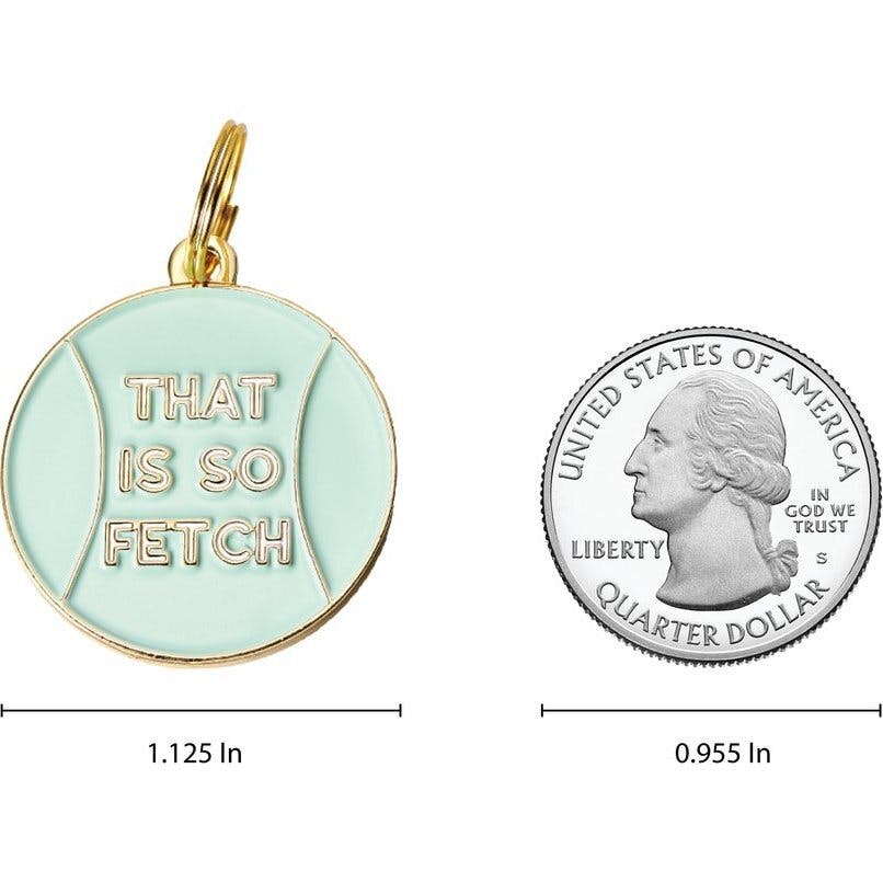 That's So Fetch Pet ID Tag