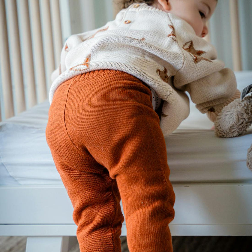 Pima Cotton Knit Jogger in Mocha