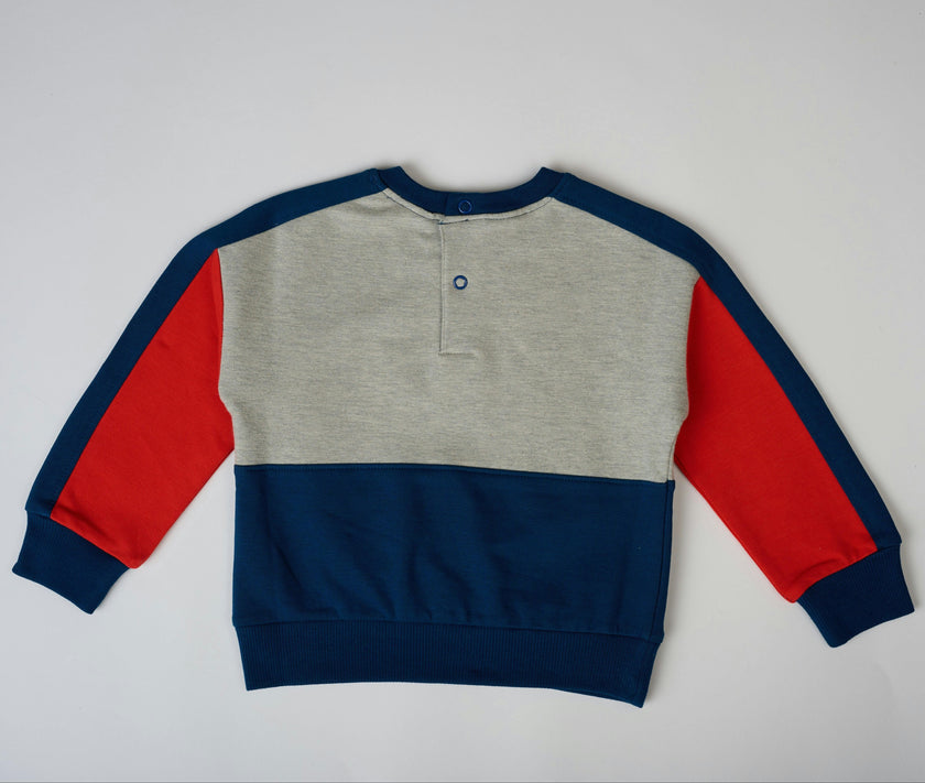 Sporty Color block Sweatshirt