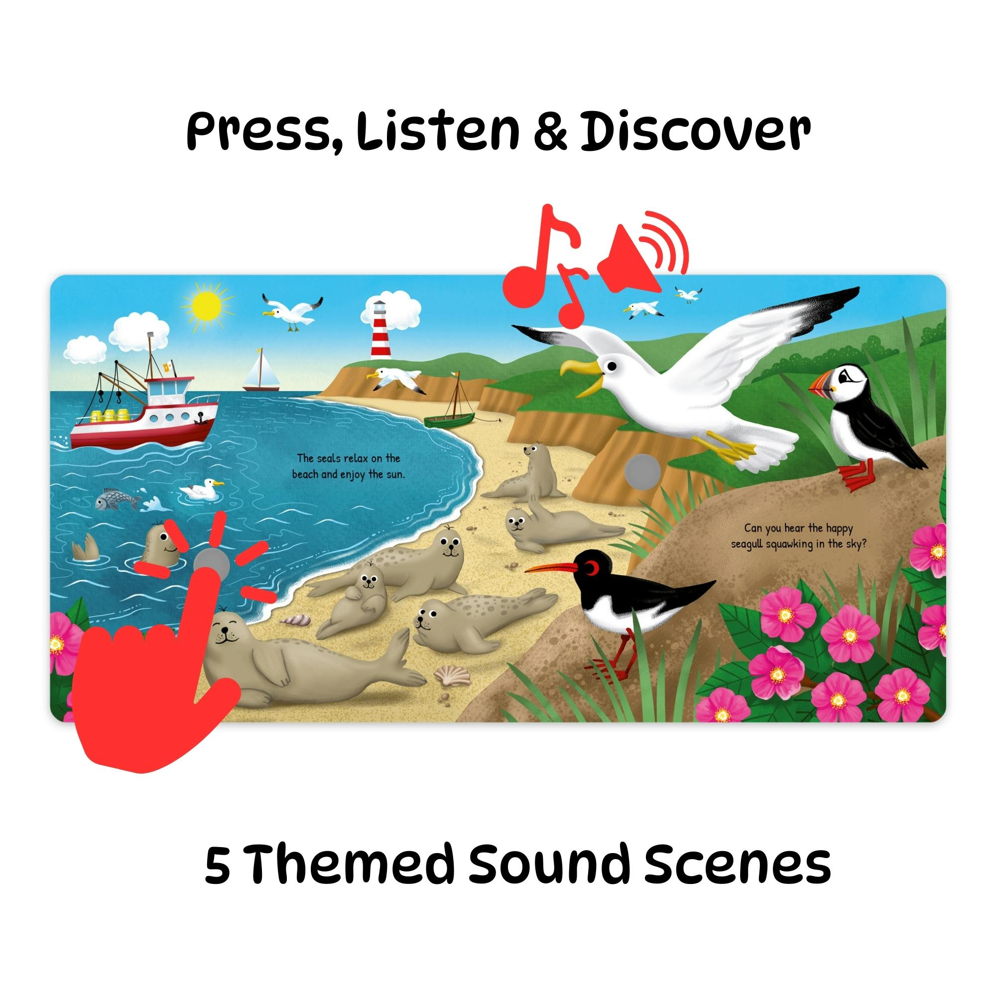Listen & Discover Book: The Sea