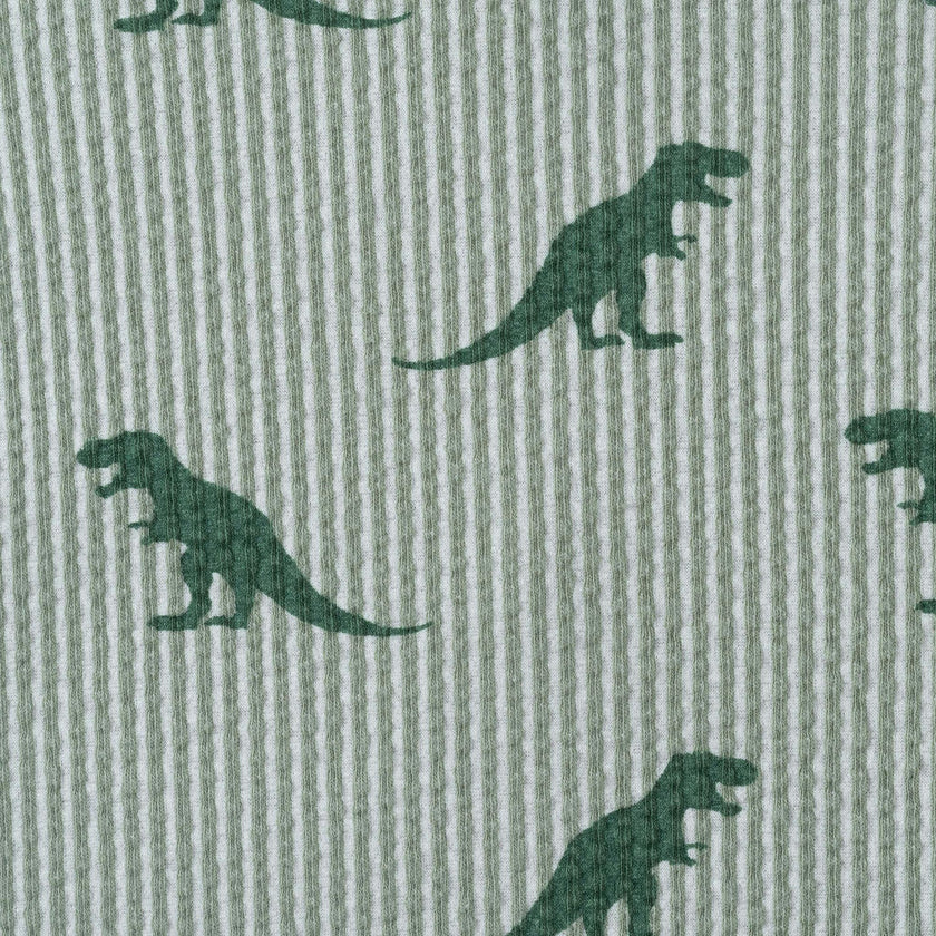 Boys Short Sleeve Cabana Set | Green Stripe Dino