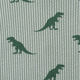 Boys Short Sleeve Cabana Set | Green Stripe Dino