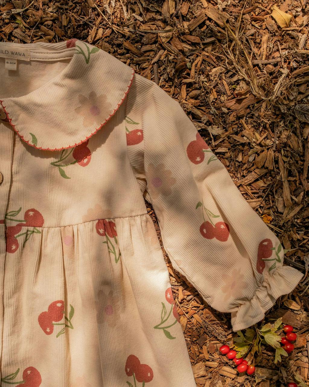 Clementine Dress in Cherry Bloom