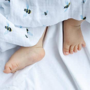 Organic Muslin Swaddle Gift Set