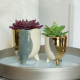 3.75" 3-TONE FOOTED CERAMIC Artificial Succulent  (SM)