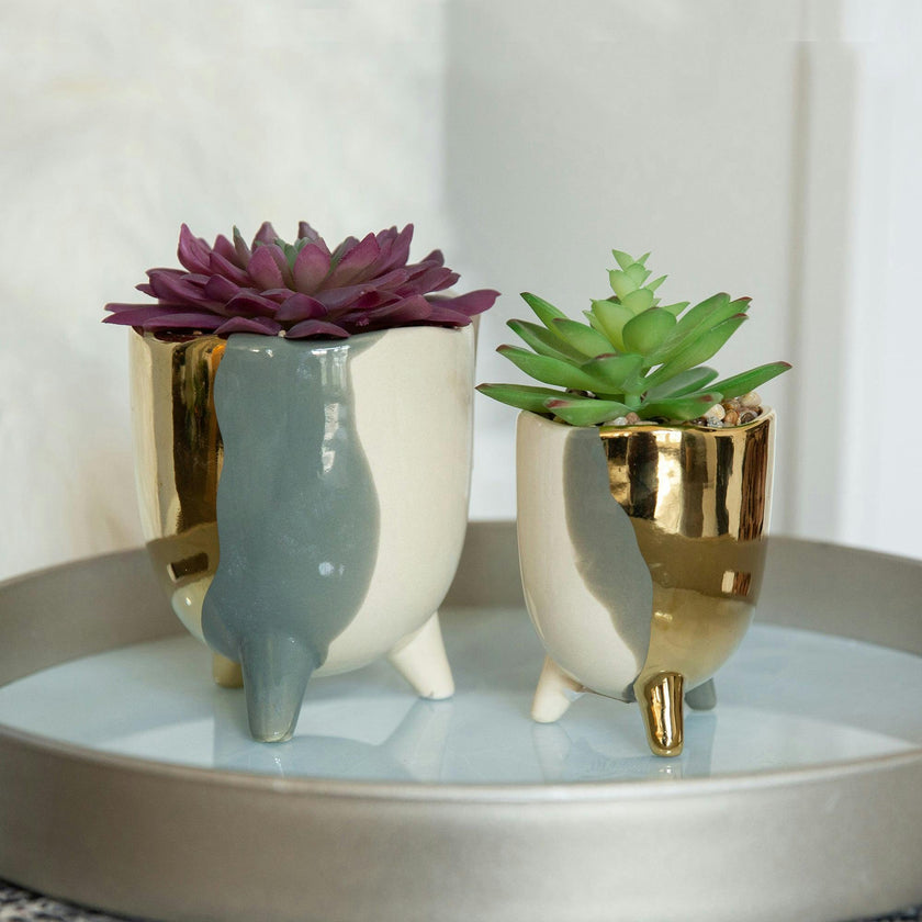 3.75" 3-TONE FOOTED CERAMIC Artificial Succulent  (SM)