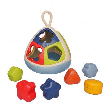 The Bio Shape Sorter