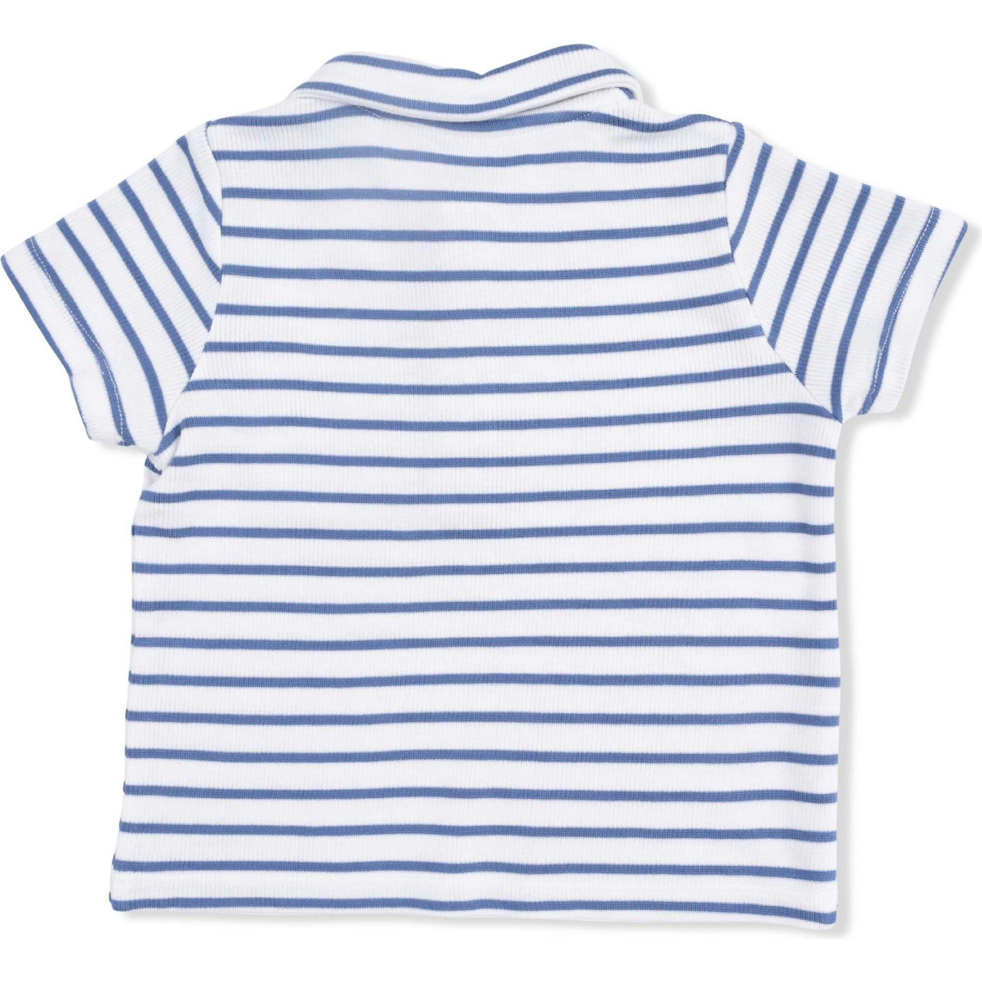 Navy Stripe - Polo with Everyday Short