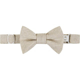 Infant Four Piece Buttondown and Vest Set