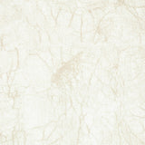 The Cloisters Panel Set 5-Yard Wallpaper