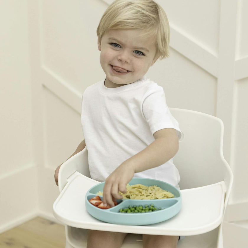 Meal Monster 3-Section Wonder Silicon Suction Plate