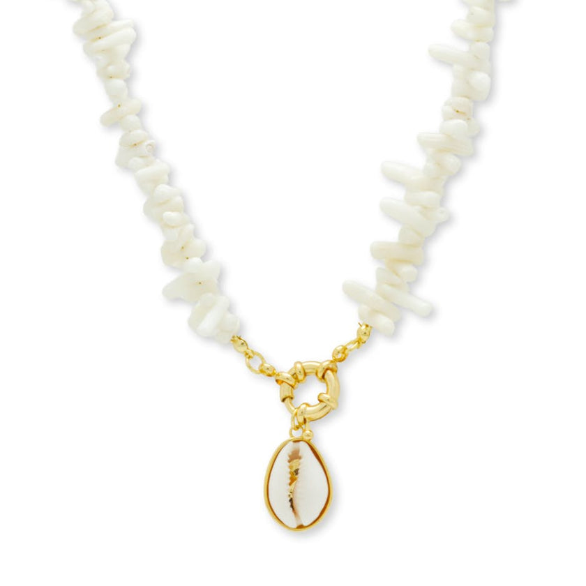 Waimea ~ Salty Shells