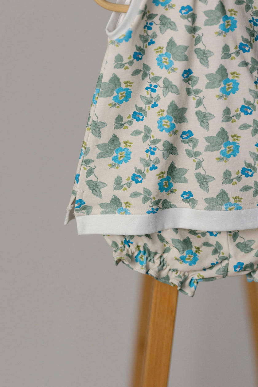Dashwood Set