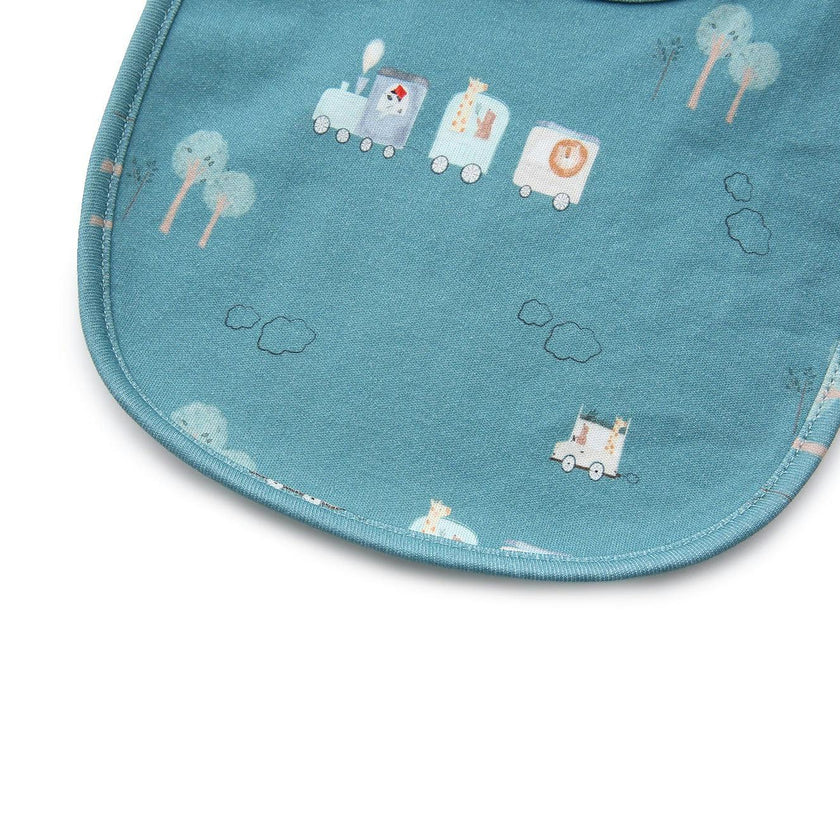 Bib 2-Pack - Le Petit Express Green