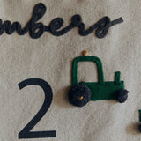 Wall Hanger