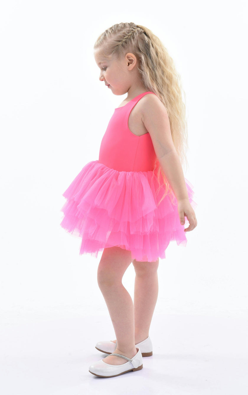 Pink French Rose Tutu Dress