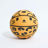 Chester Mini Basketball