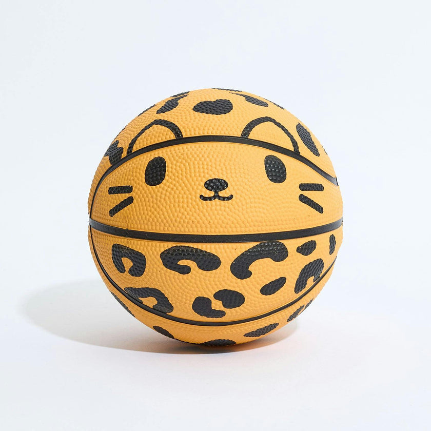 Chester Mini Basketball