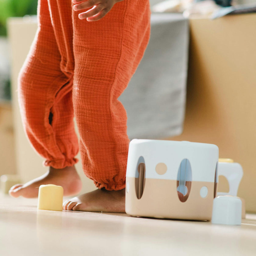 Tiny BIO: Shape Sorter