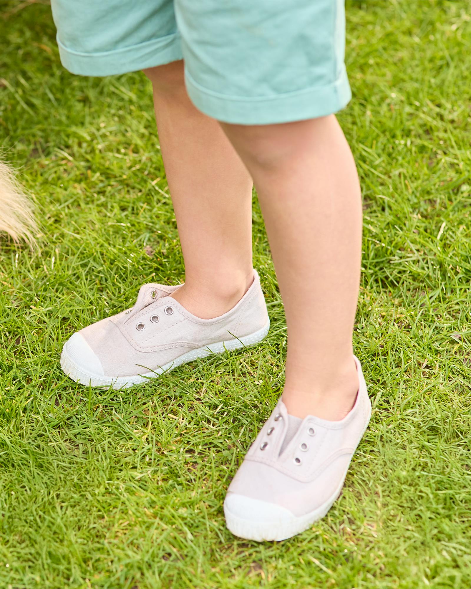 Hampton Canvas Plum Plimsolls in Putty