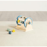 Activity Roller