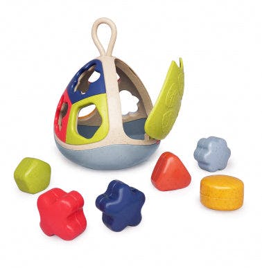 The Bio Shape Sorter