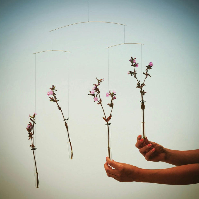Flying Flowers.