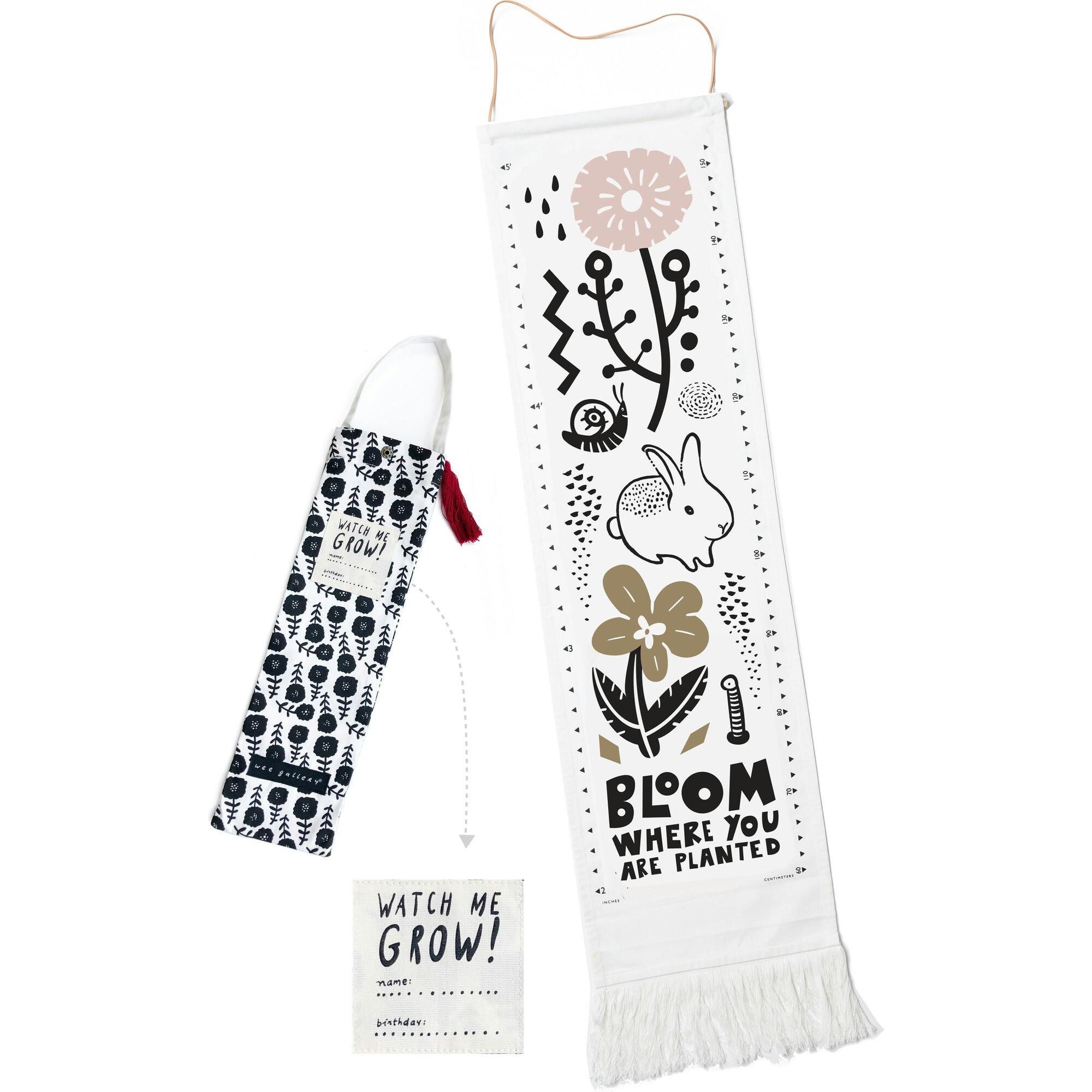 Canvas Growth Chart