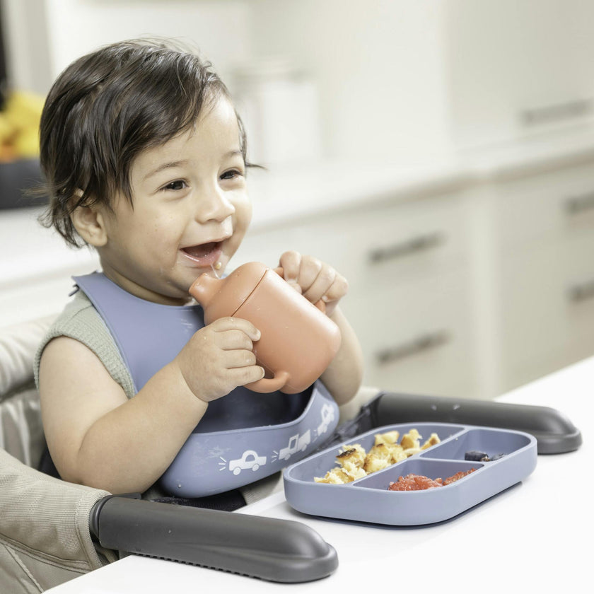 Jungle Safari Little Bites 8-Piece Set