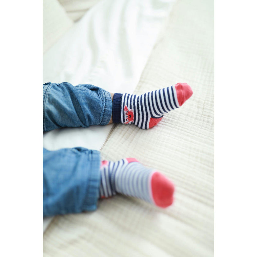 Let's Sail Away Assorted Boys 6pk Sock