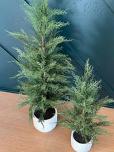 2' Faux Cedar Tree, Set of 2