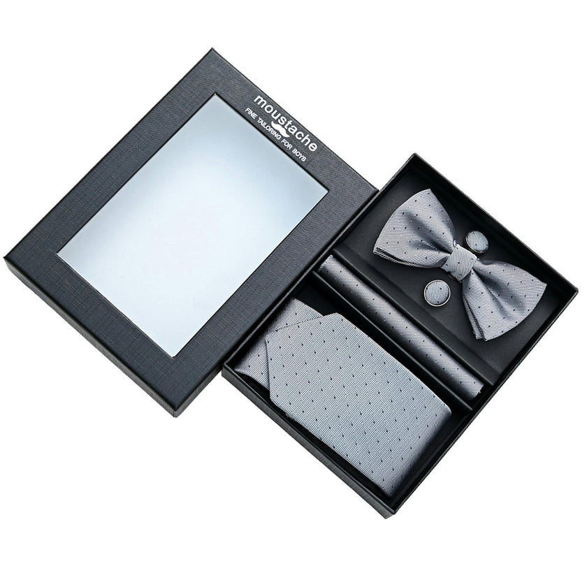 Silver Dotted Tie Set