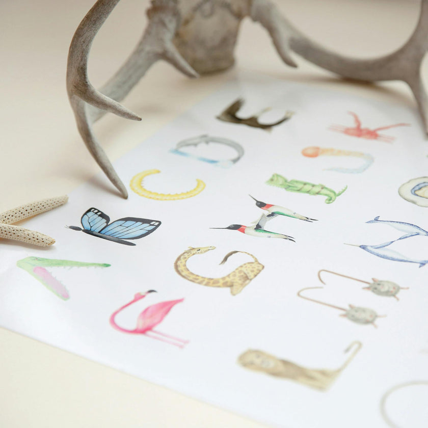 Animal Alphabet