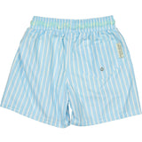 Sunny blue classic swim shorts