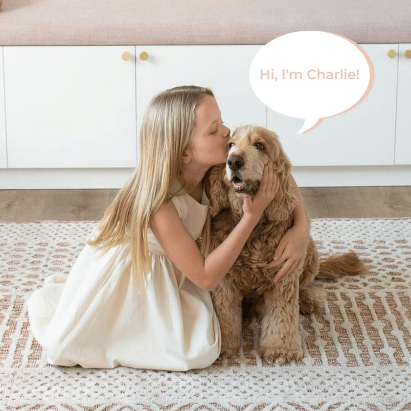 Charlie The Weighted Puppy Dog