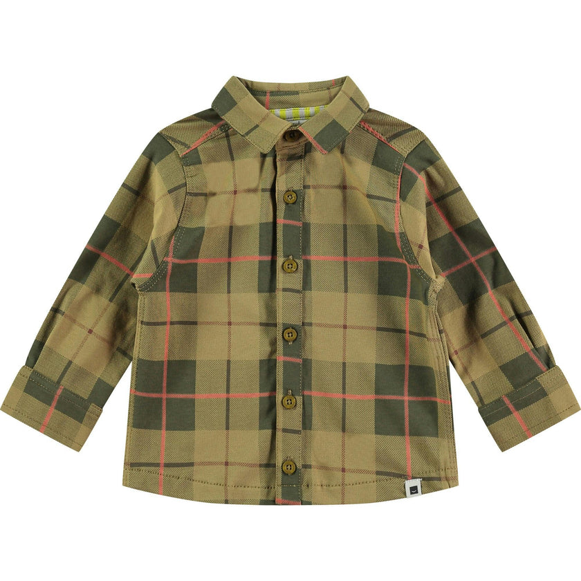 Button Down Shirt