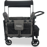 Elite Double Wagon Style Stroller