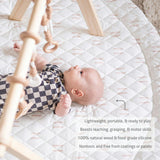 Play Gym Set